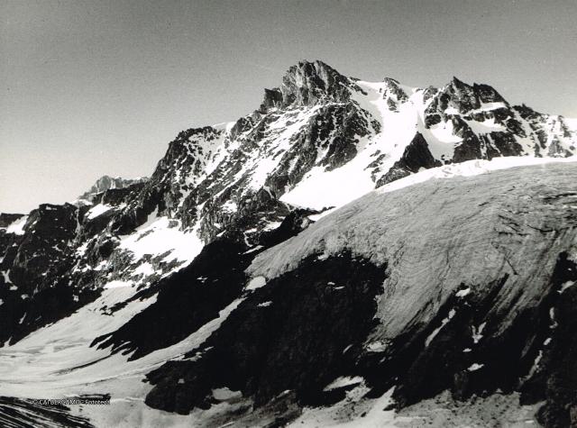Alpi Bernesi