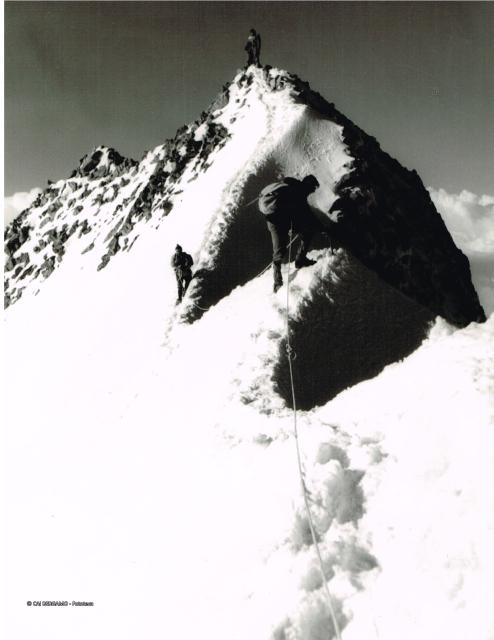 Gruppo del Bernina