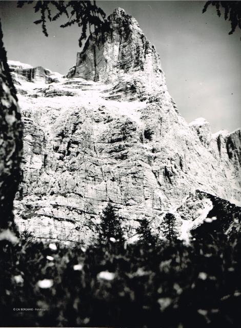 Dolomiti