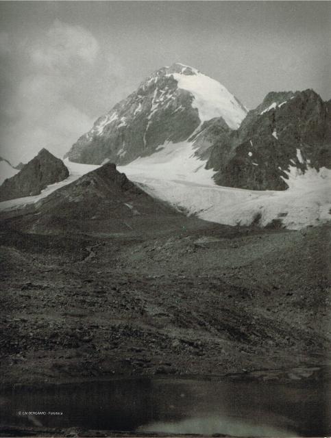 Alpi Retiche