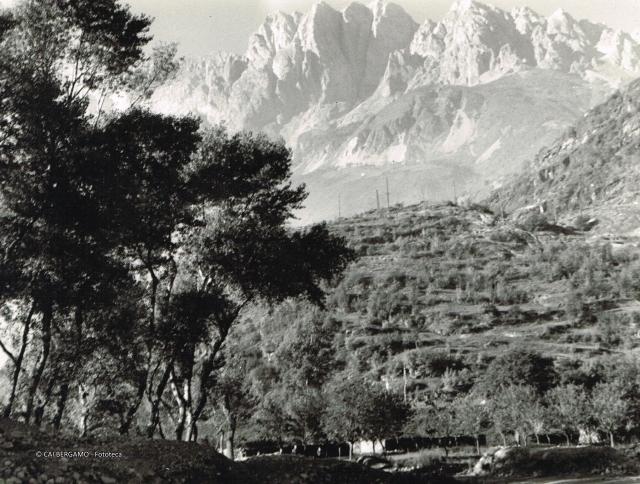 CONCARENA