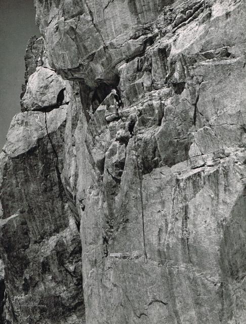 DENTE DEL GIGANTE