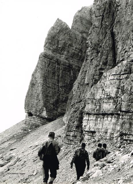 Dolomiti