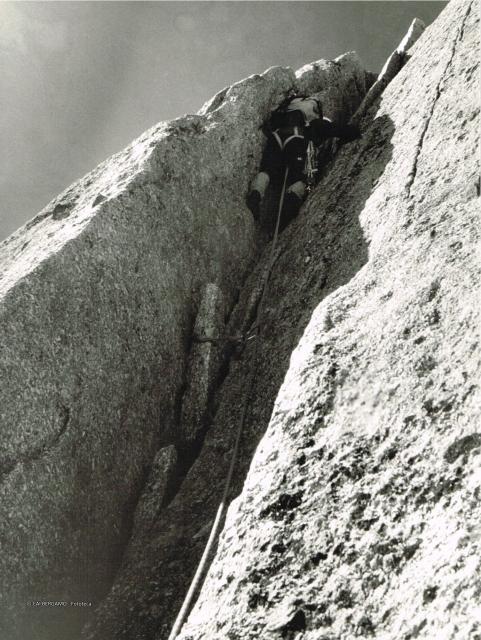 Gruppo del Monte Bianco