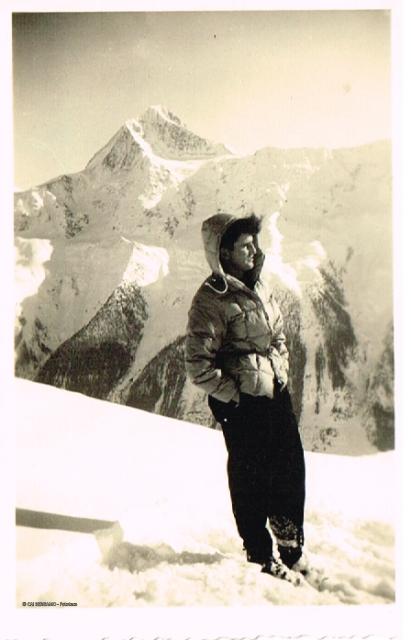 Alpi Pennine