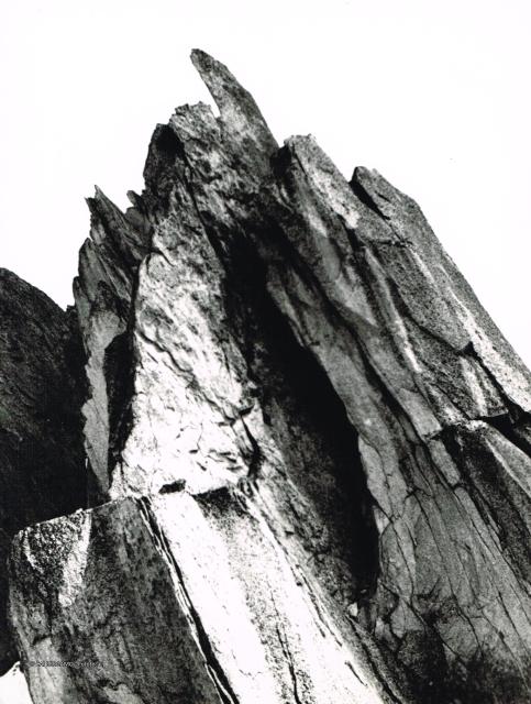 Alpi Svizzere