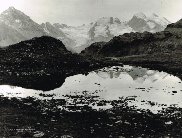 Alpi Retiche