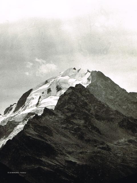 Alpi Retiche