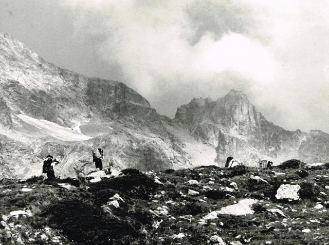 Alpi Retiche