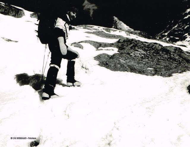 Gruppo del Monte Bianco