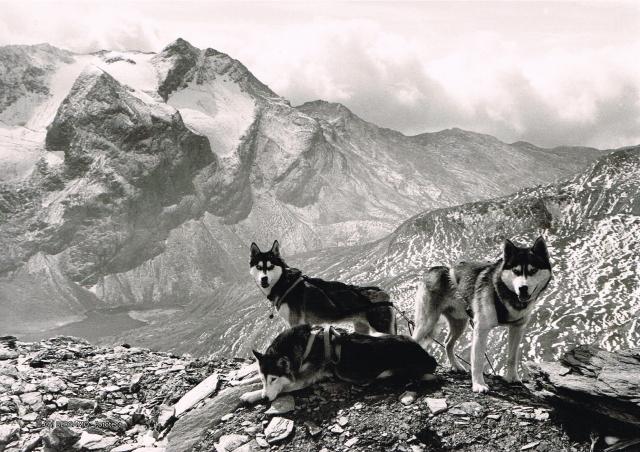 Alpi Retiche