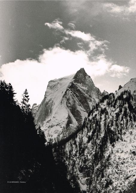 Alpi Retiche