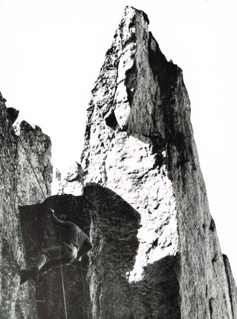 Alpi Retiche