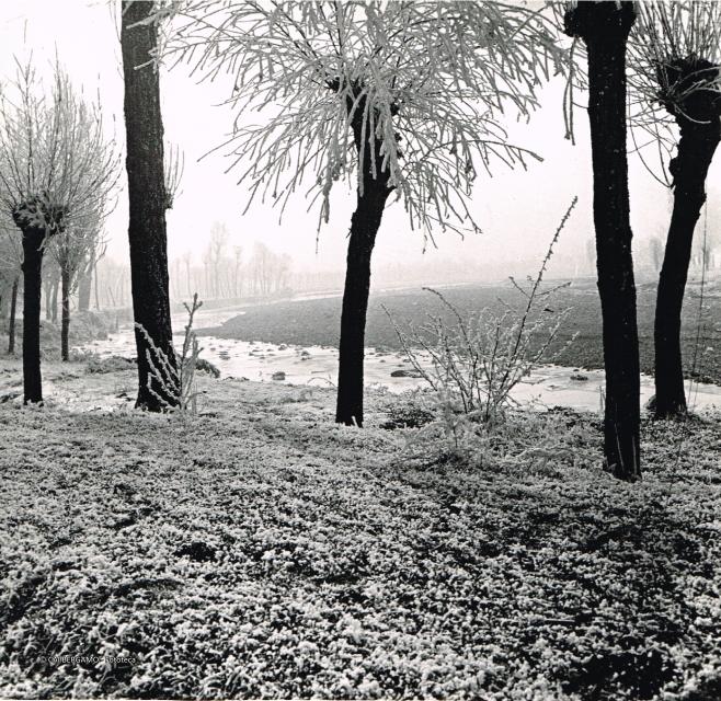 Paesaggio