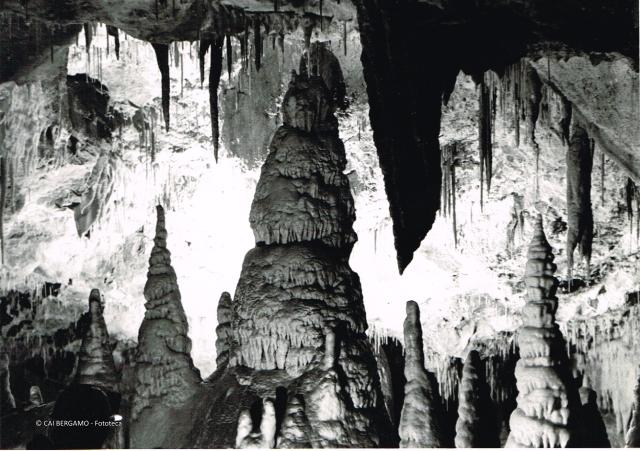 Speleologia