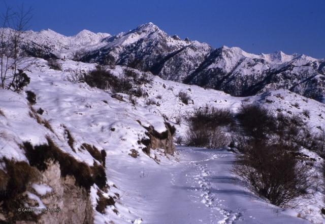 Prealpi Bergamasche