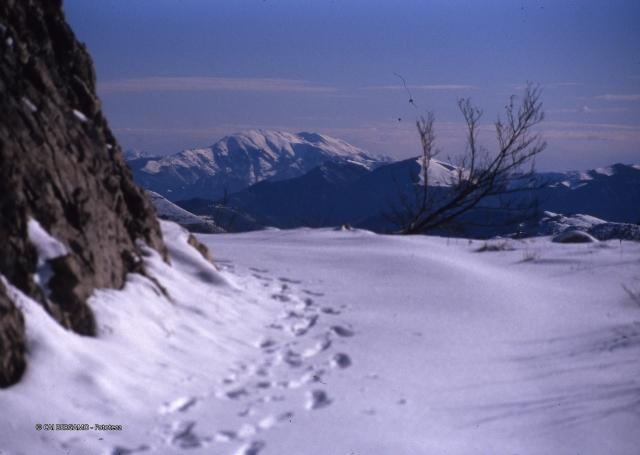 Prealpi Bergamasche