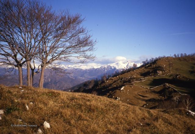 Prealpi Bergamasche