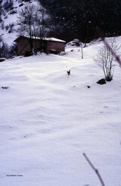 Prealpi Bergamasche
