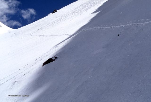 Rifugio Calvi e passo di Valsecca