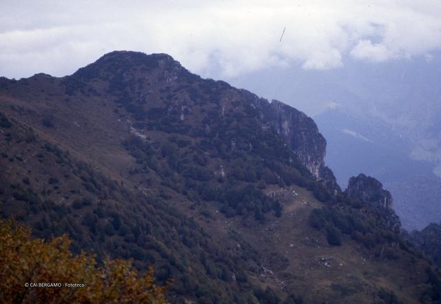 Aralalta, Baitù e Pizzino