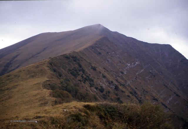 Aralalta, Baitù e Pizzino