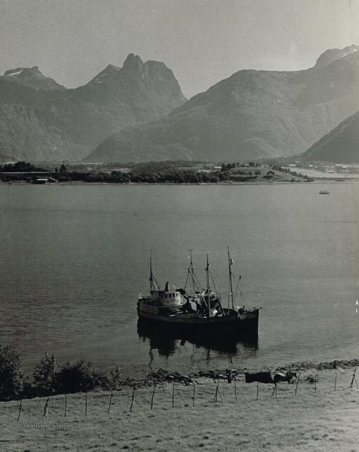 Norvegia