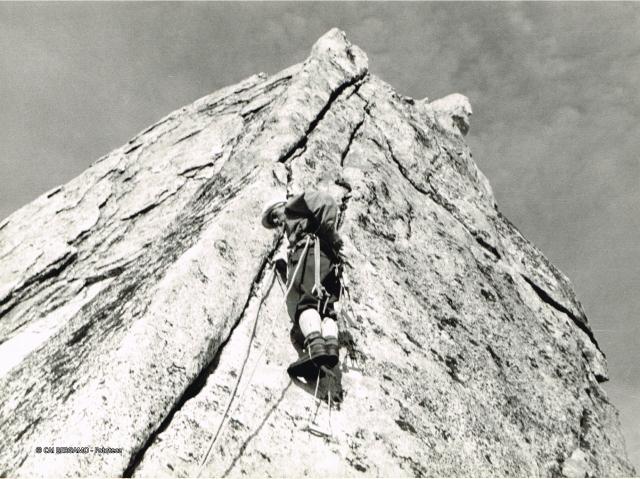 Alpi Retiche