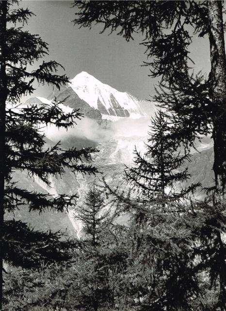 Alpi Pennine