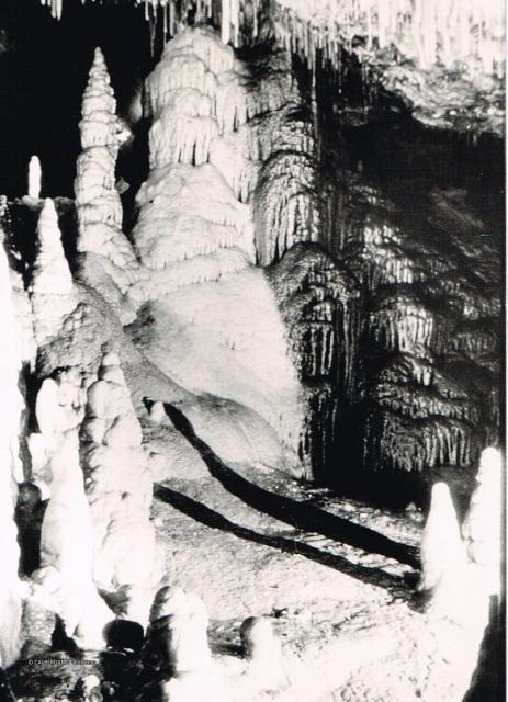 Speleologia