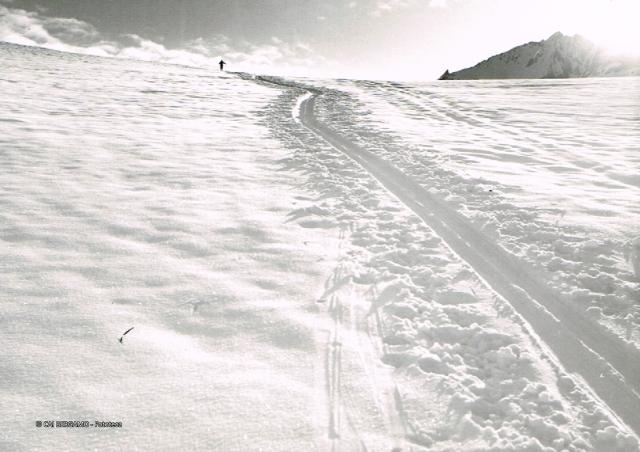 Alpi Pennine