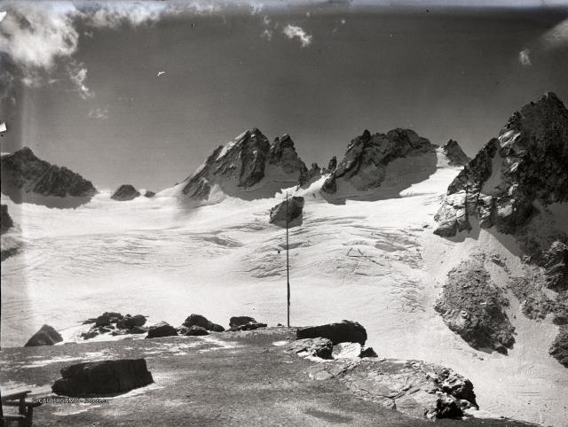 CIME DI MUSELLA