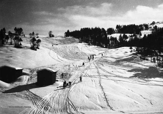 MONTE FOGAROLO