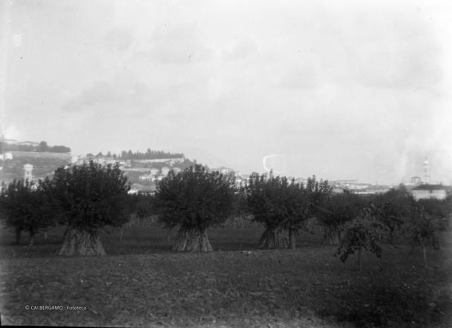 Bergamo