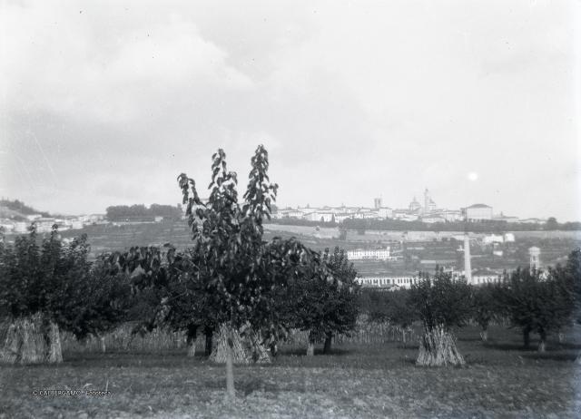Bergamo