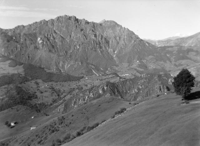 Alben