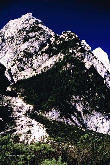 Dolomiti