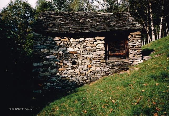 Alpi
