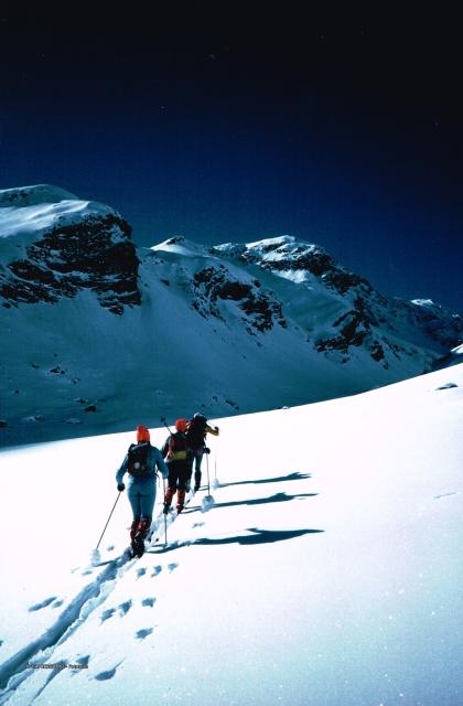 Alpi Aurine