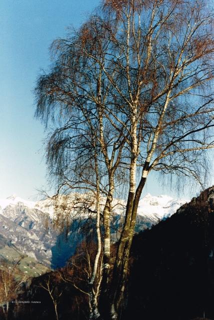 Prealpi bergamasche