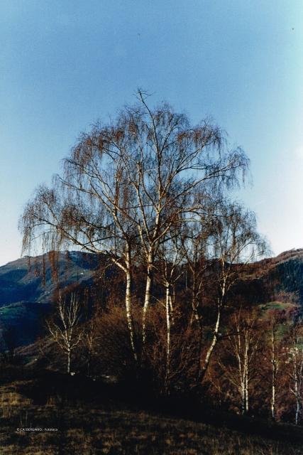 Prealpi bergamasche