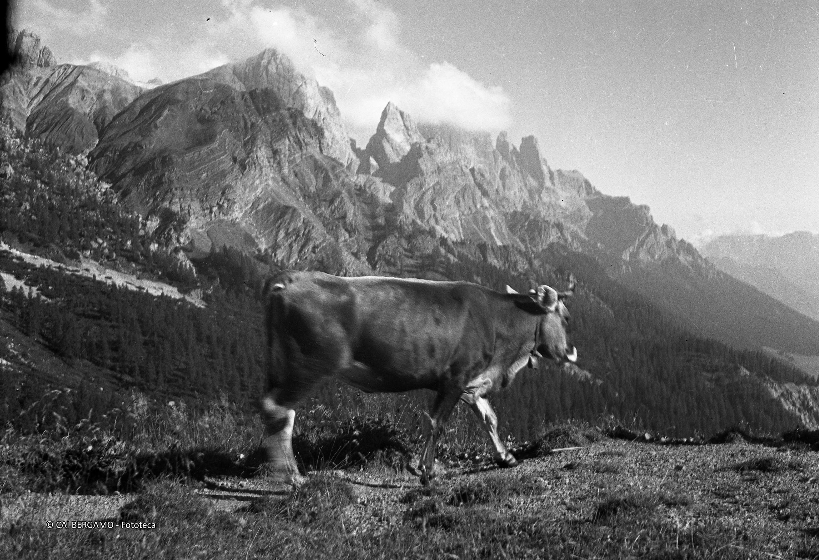 Cimon della Pala