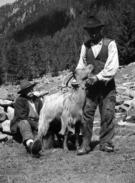 Monte Disgrazia