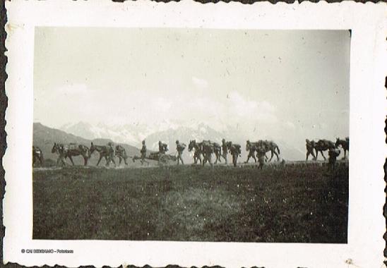 Passo Mortirolo