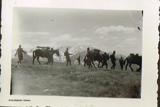 Passo Mortirolo