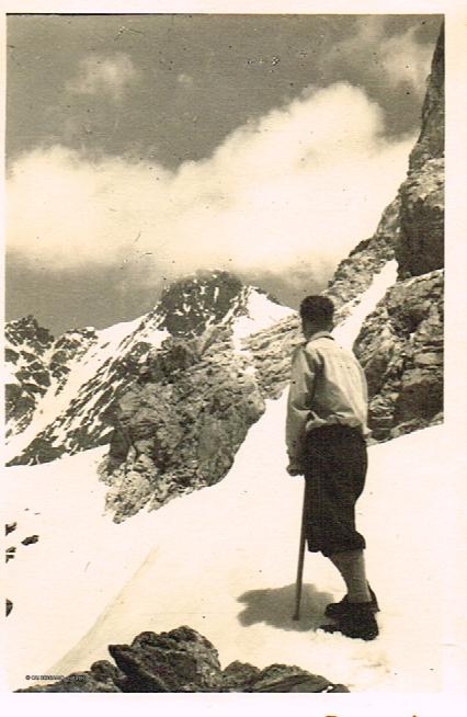 Gruppo Bernina