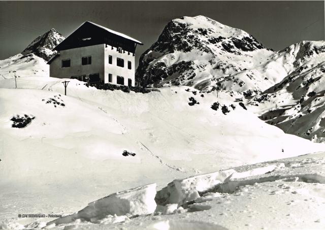 Zona Calvi