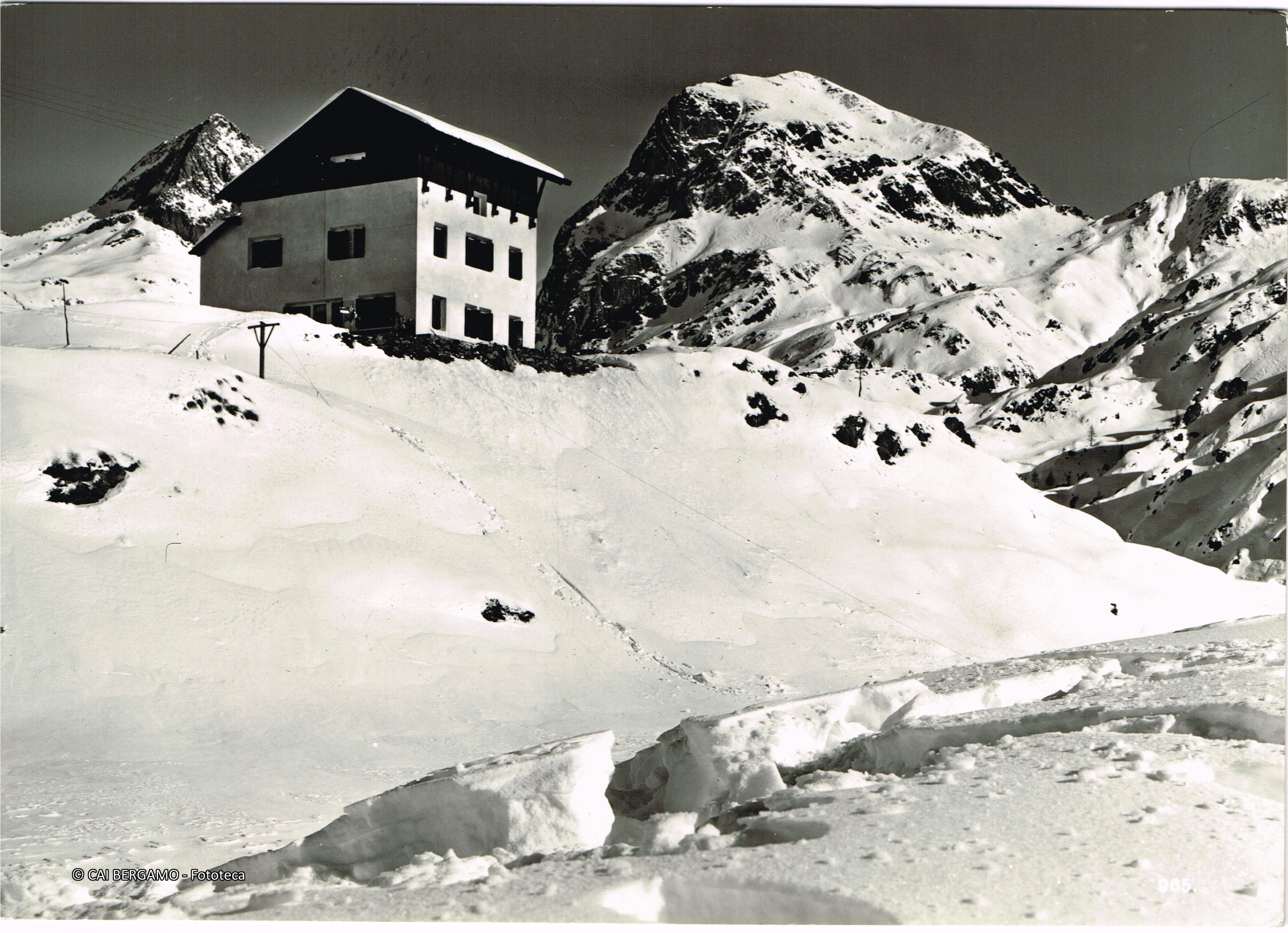 Zona Calvi