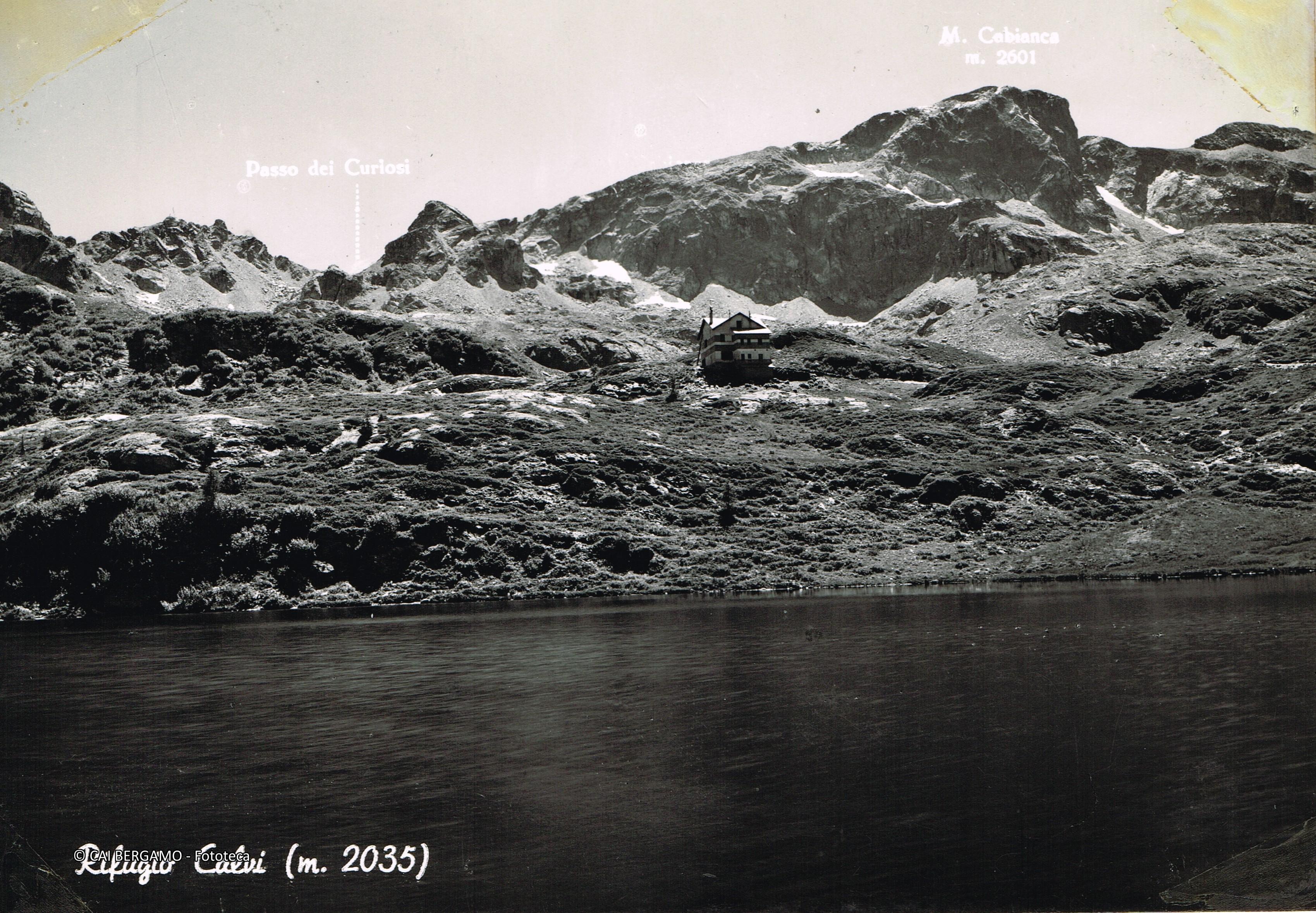 Zona Calvi