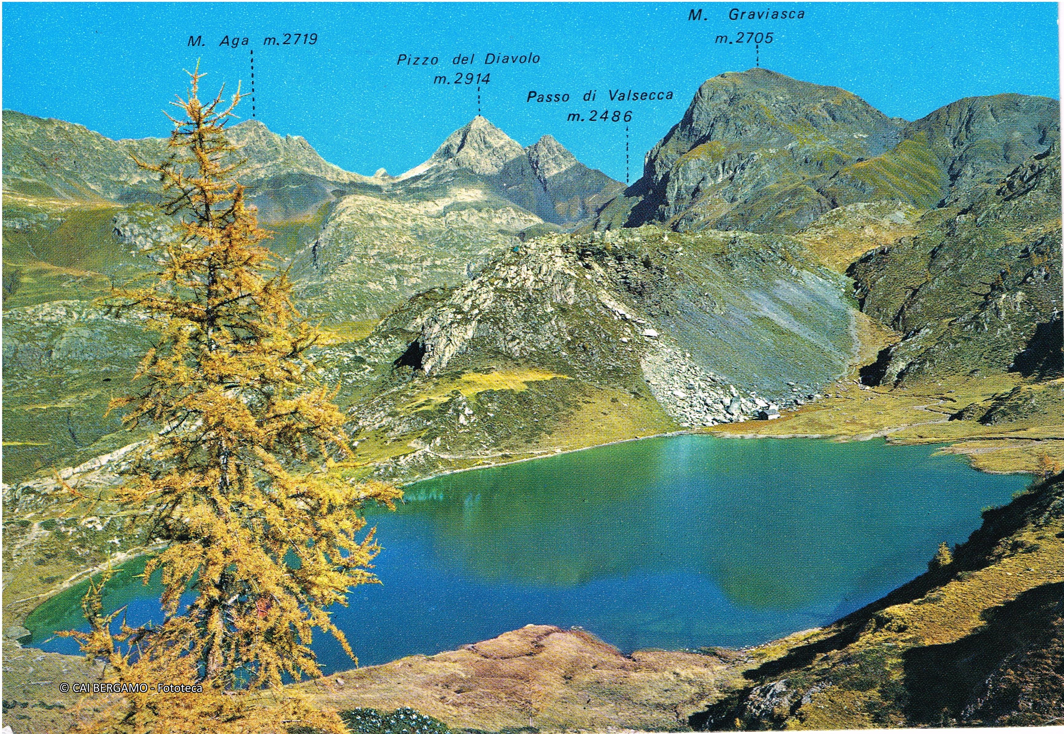 Zona Calvi